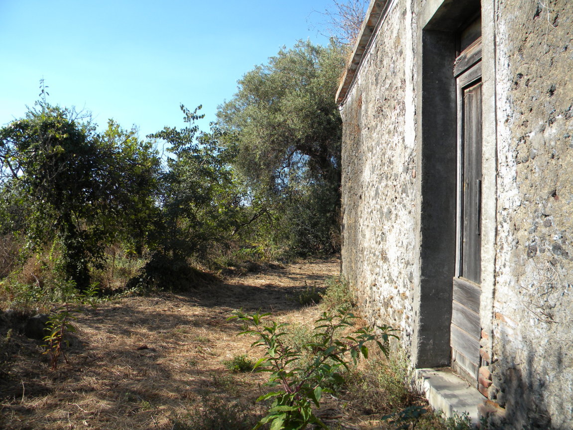 DSCN8124 .JPG